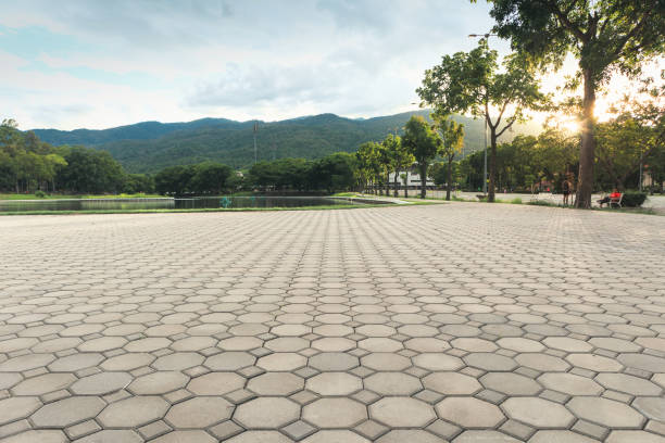 Best Concrete Paver Driveway  in Cross Roads, TX