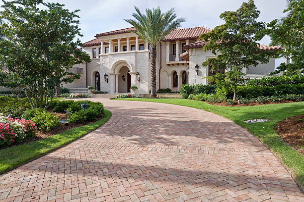 Best Driveway Paving Contractor  in Cross Roads, TX